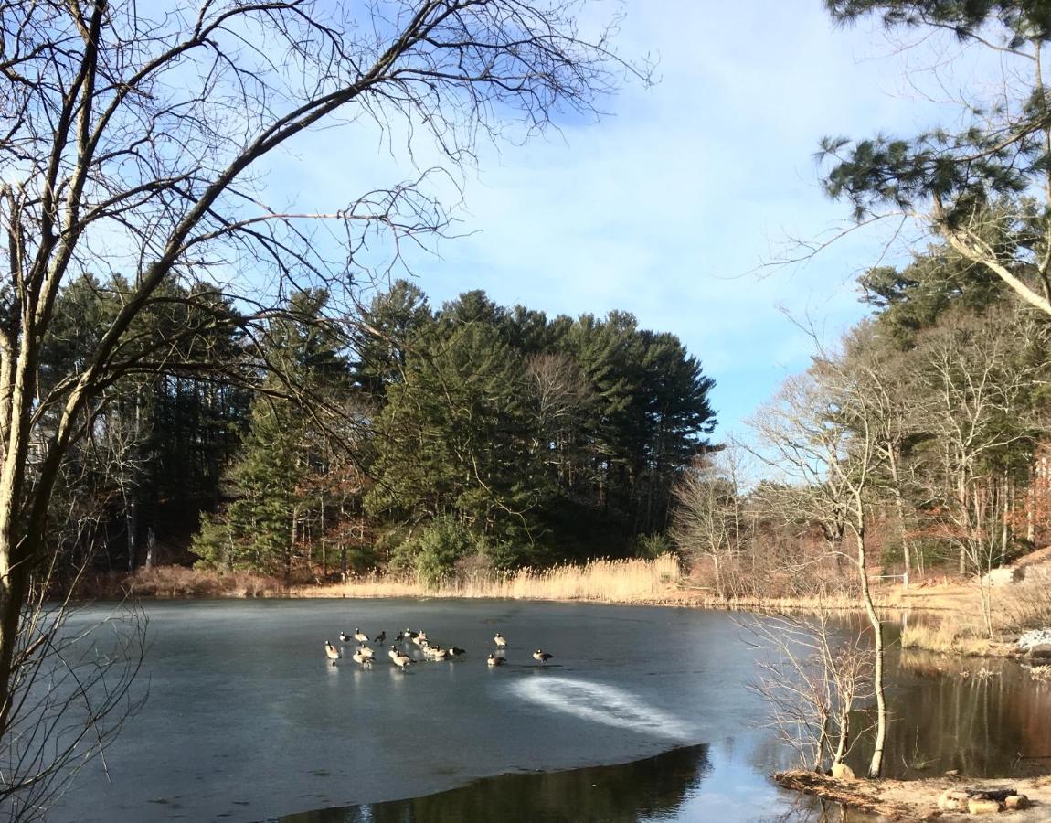Clear Pond Suite Plymouth Esterno foto